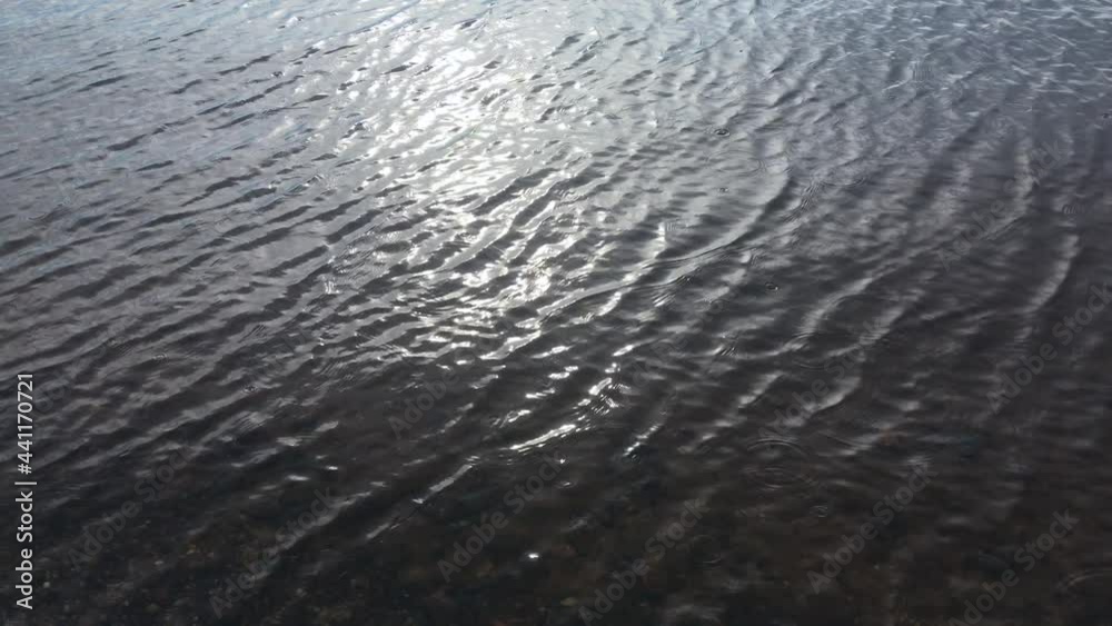 Raindrops fall on the river surface. A sandy bottom with pebbles can be seen through the water. Nature background Raindrops fall on the river surface. A sandy bottom with pebbles can be seen through the water. Nature background