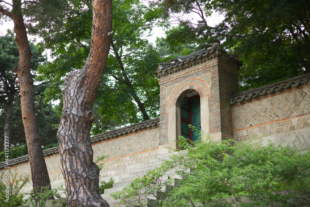 The traditional entrance to the old Korean palace (Changdeokgung Palace) harmonized with a quiet atmosphere and green pine trees