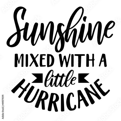 sunshine mixed with a little hurricane inspirational quotes, motivational positive quotes, silhouette arts lettering design