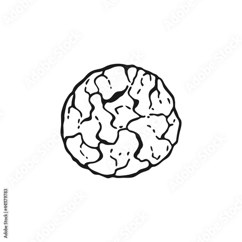 Round oatmeal cookies. Homemade biscuits. Hand drawn black and white vector illustration.