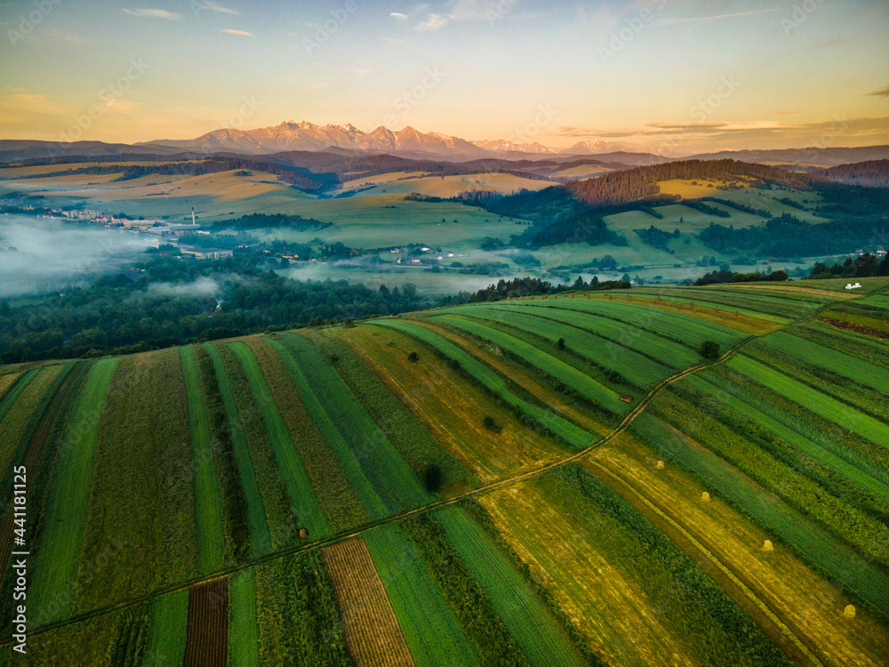 Agriculture Field on Hill in Pieniny Park. Aerial Drone View