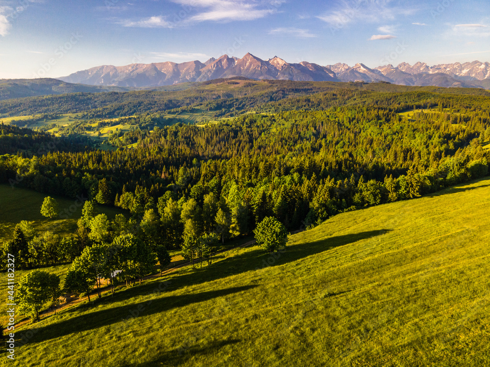 Green Meadows at Lapszanka in High Tatras, Poland Aerial Drone View