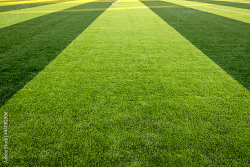 Sport Soccer Stadium Football Ball Football Goal Net Green Field Grass Artificial Lawn Arena 