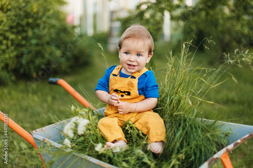 A charming baby sits in a wheelbarrow in the garden. Summer outdoor activities for young children