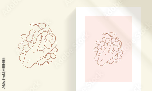 Bunch of ripe fresh grape in human hand line art style vector illustration