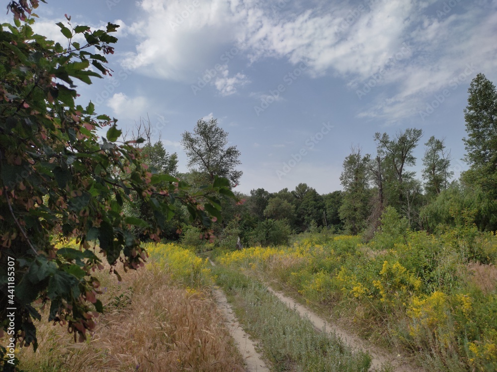 road in the countryside