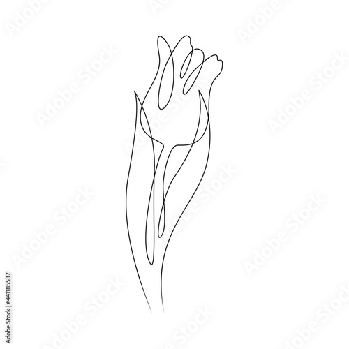 Flower petals bud. One continuous line.Opened flower logo. One continuous drawing line logo isolated minimal illustration.