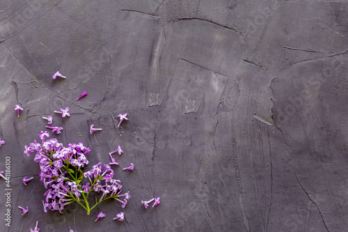Flowers composition. Purple lilac flay lay, copy space