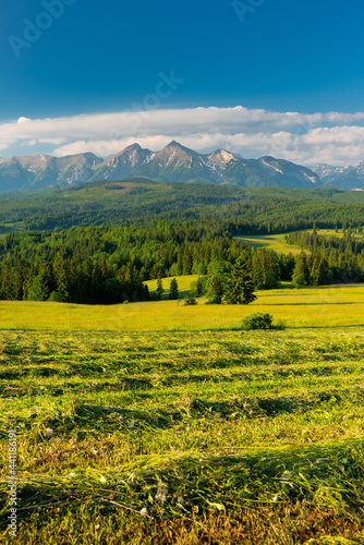 Fototapeta Naklejka Na Ścianę i Meble -  Green Pasture and Meadows and Tatras Mountains in Podhale, Poland