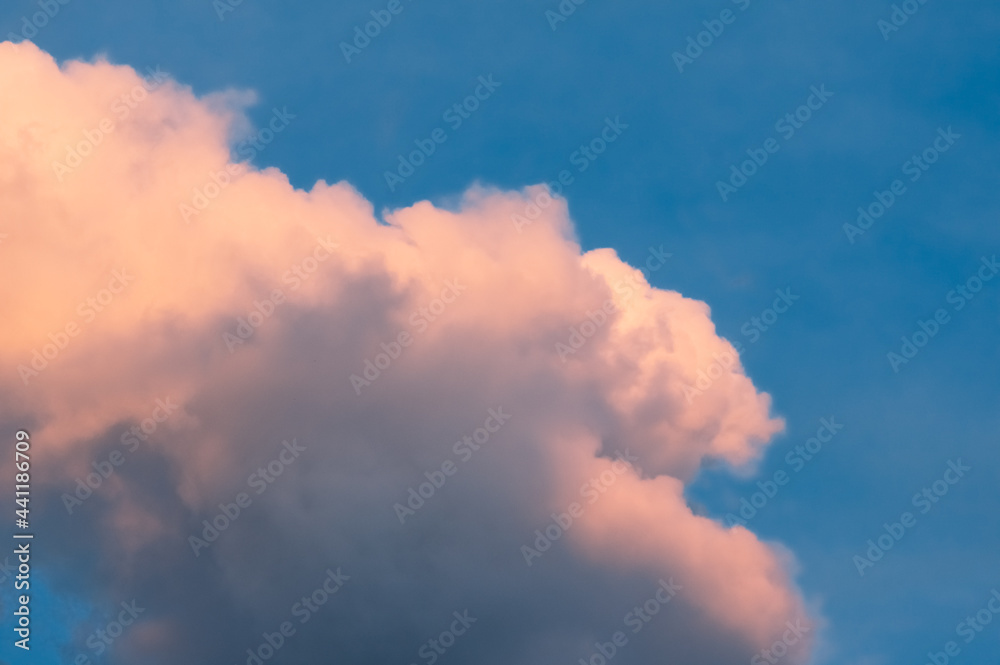 pink clouds on the blue sky pink clouds on the blue sky
