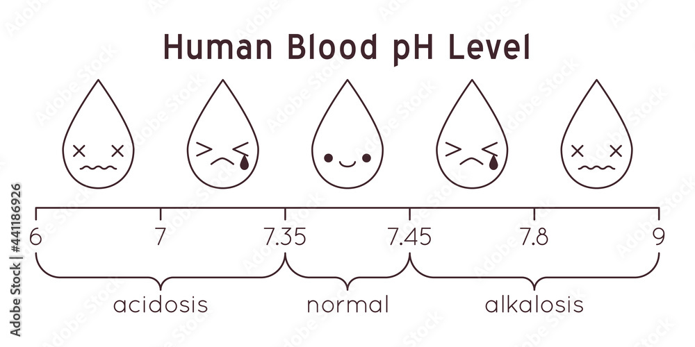 human-blood-ph-scale-vector-diagram-stock-vector-adobe-stock