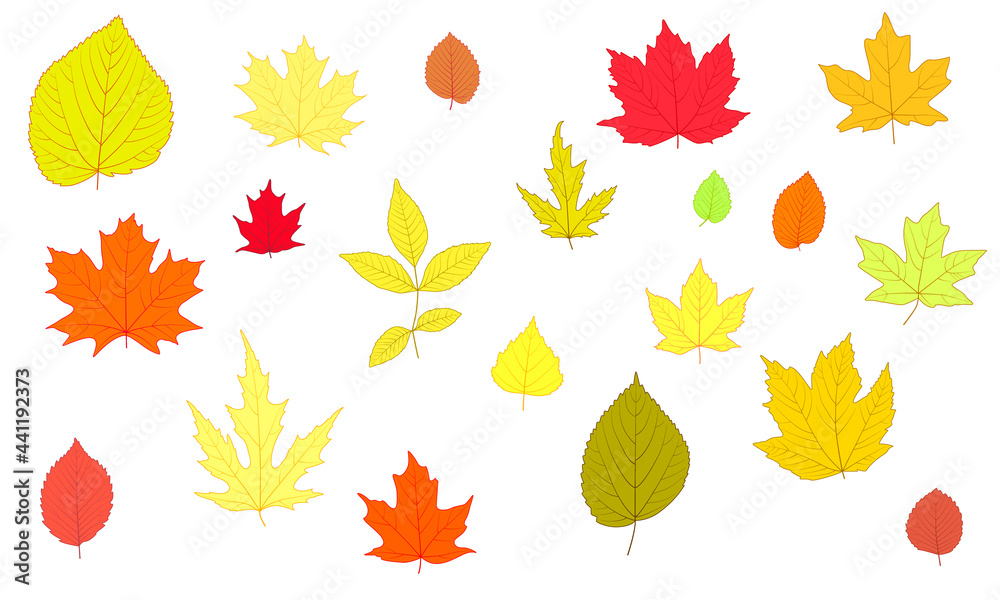 Set of simple autumn leaves. For the design of banners and postcards for the autumn holidays. Oktoberfest, Thanksgiving, Harvest Festival, Halloween.