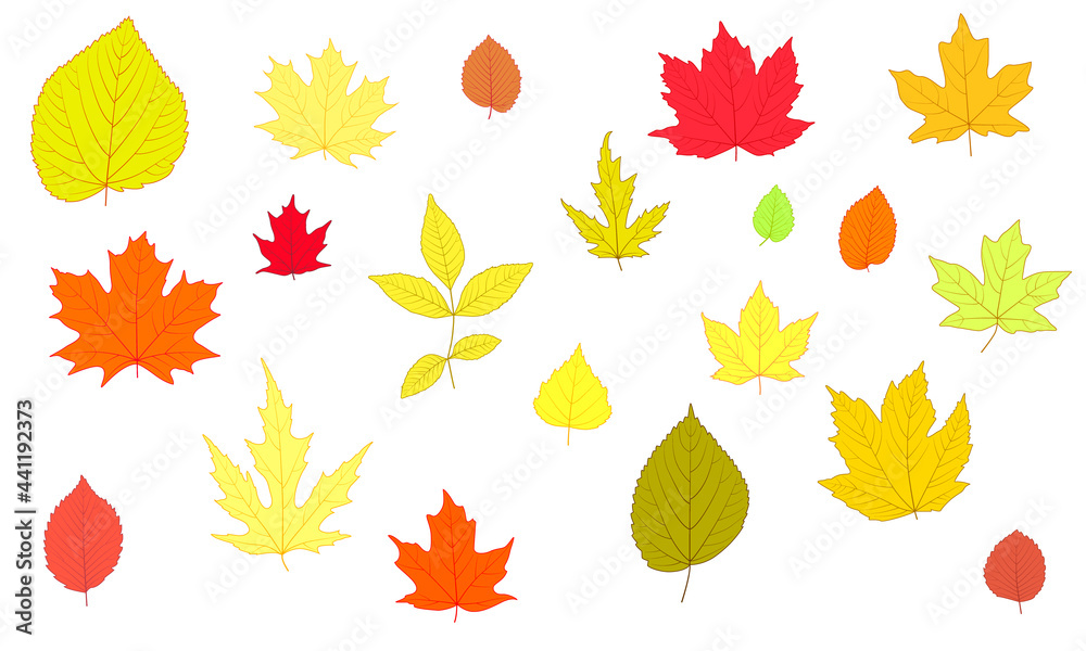Set of simple autumn leaves. For the design of banners and postcards for the autumn holidays. Oktoberfest, Thanksgiving, Harvest Festival, Halloween. Set of simple autumn leaves. For the design of banners and postcards for the autumn holidays. Oktoberfest, Thanksgiving, Harvest Festival, Halloween.