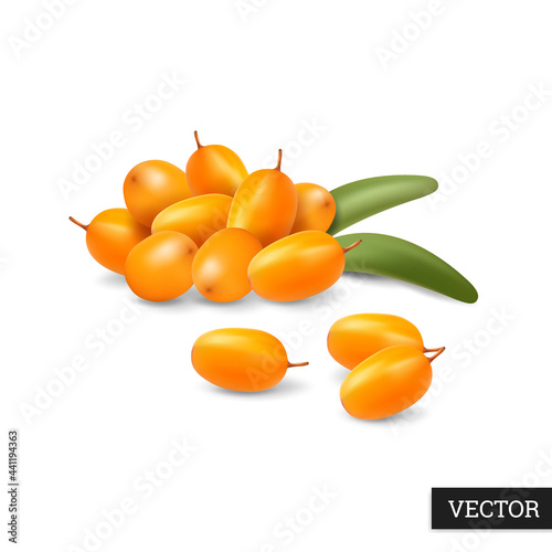 Sea buckthorn isolated on a white background with leaves. Medical berries in realistic style. Natural healthy product. Vector illustration 3D. Design element.