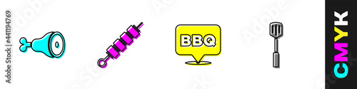 Set Chicken leg, Grilled shish kebab, Barbecue and spatula icon. Vector