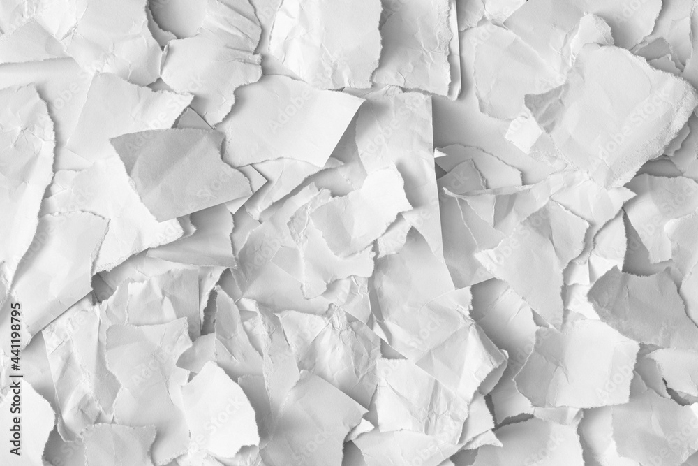 Obraz premium Crumpled torn white paper