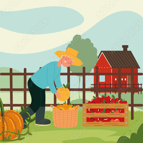 farmer boy picking fruits