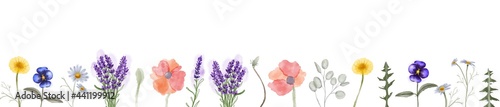 Horizontal banner or floral backdrop decorated with Herbs and wild botanical flowers. Set of botany vintage flowers.