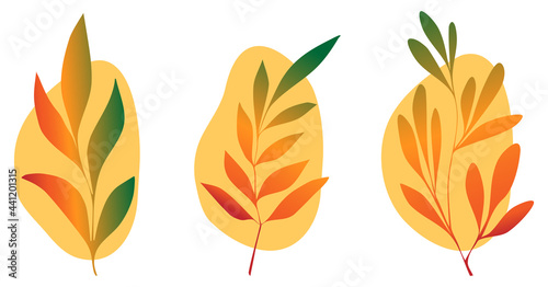 Golden autumn branches collection. Set of fall leaf on bright background. Isolated vector illustrations on white background © Nonna