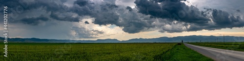 Panoramic image, gathering storm clouds over green agricultural fields, leading asphalt road.