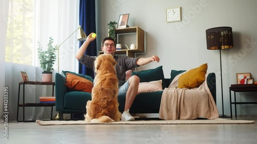 Young man in glasses sitting on sofa, petting his dog and throwing small ball to obedient golden retriever in living-room. Energetic puppy running after toy. Spending time together with lovely pet. 