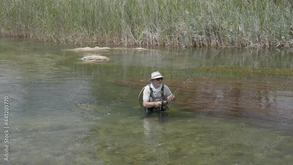 fly fisherman fishing in a small wild river fly fisherman fishing in a small wild river
