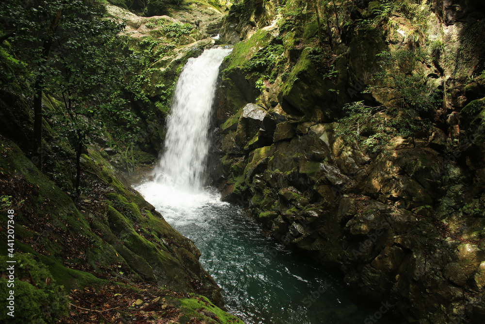 徳島県海陽町 轟九十九滝 横見滝 徳島県海陽町 轟九十九滝 横見滝