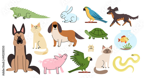 Vector cartoon flat set of home animal pets photo