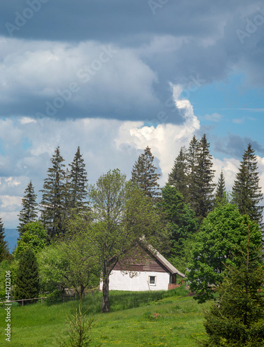 Small house on a steep mountain slope in the carpathians among the green forest, rest and travel in the mountains