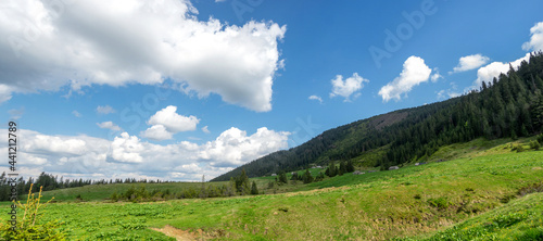 Panorama of a mountain meadow, blue sky and clouds. Travel and vacation in the mountains.