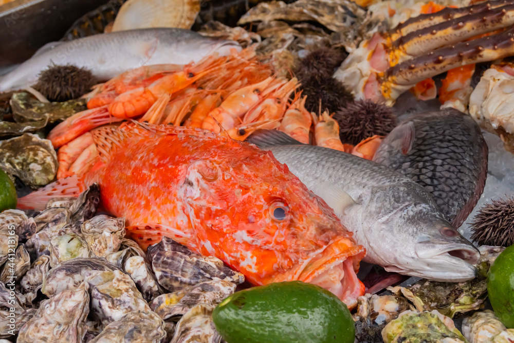 Red sea bass, sea urchin, shrimp, oyster, crab, avocado, trout fish on