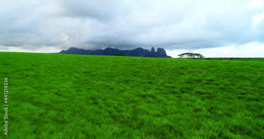 Aerial: Panning Idyllic Shot Of Meadow By Kauai Island, Drone Flying Over Person Walking On Grass During Vacation Aerial: Panning Idyllic Shot Of Meadow By Kauai Island, Drone Flying Over Person Walking On Grass During Vacation