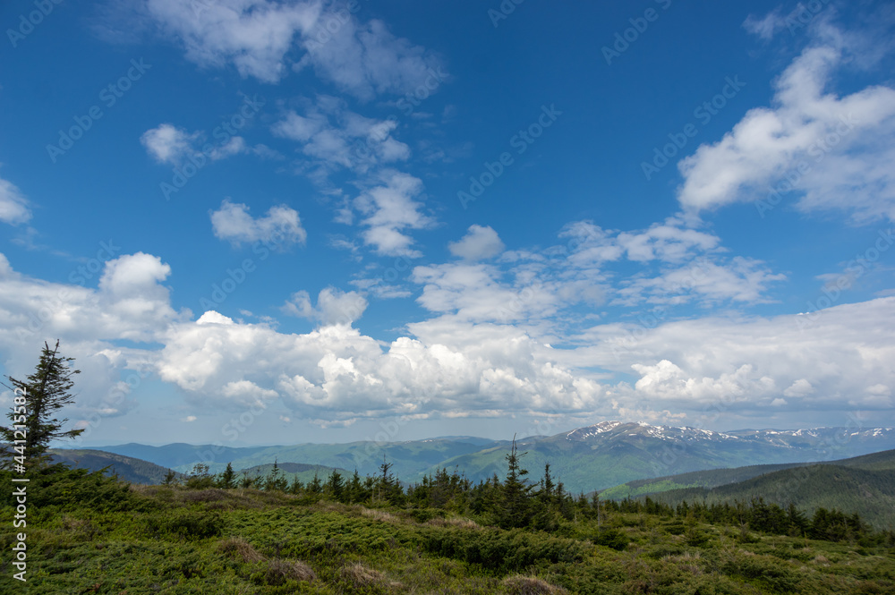 Mountain meadow, blue sky and clouds. View from the mountain