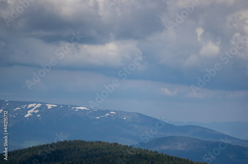 Fototapeta Naklejka Na Ścianę i Meble -  Carpathian mountains at the beginning of summer in Ukraine, rest and travel in the mountains