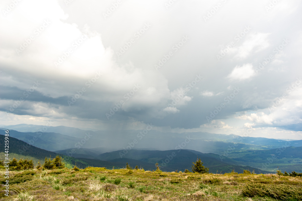 Fototapeta premium Rain and thunderstorm in the Carpathian mountains in Ukraine