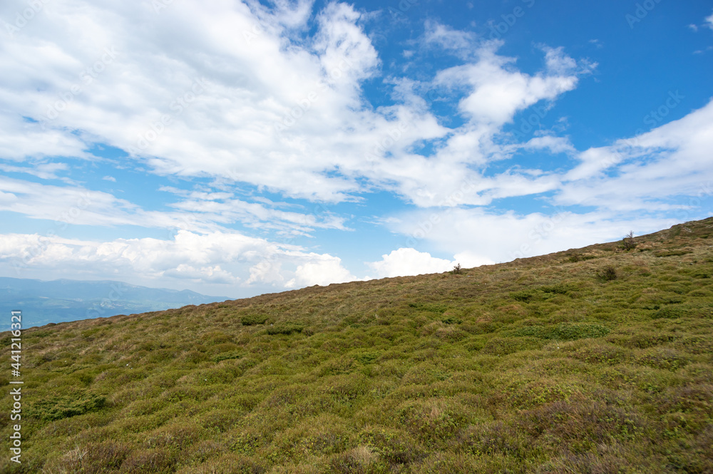 Green meadow and blue sky in the Carpathian mountains in Ukraine Green meadow and blue sky in the Carpathian mountains in Ukraine