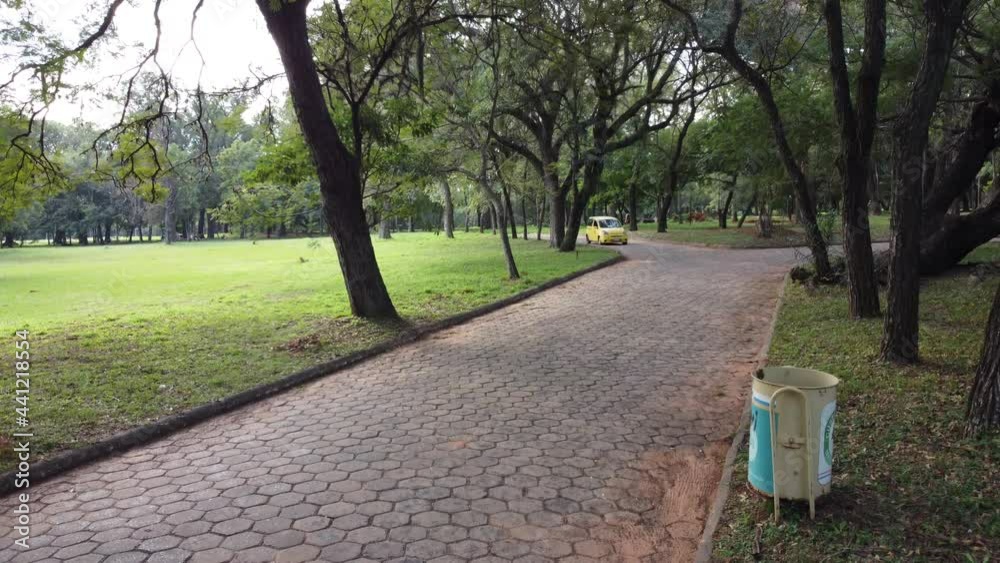 in a park, the yellow taxi coming and going in the road in a park, the yellow taxi coming and going in the road