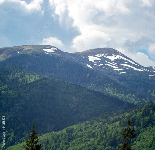 Panorama of the Carpathian mountains at the beginning of summer in Ukraine  rest and travel in the mountains