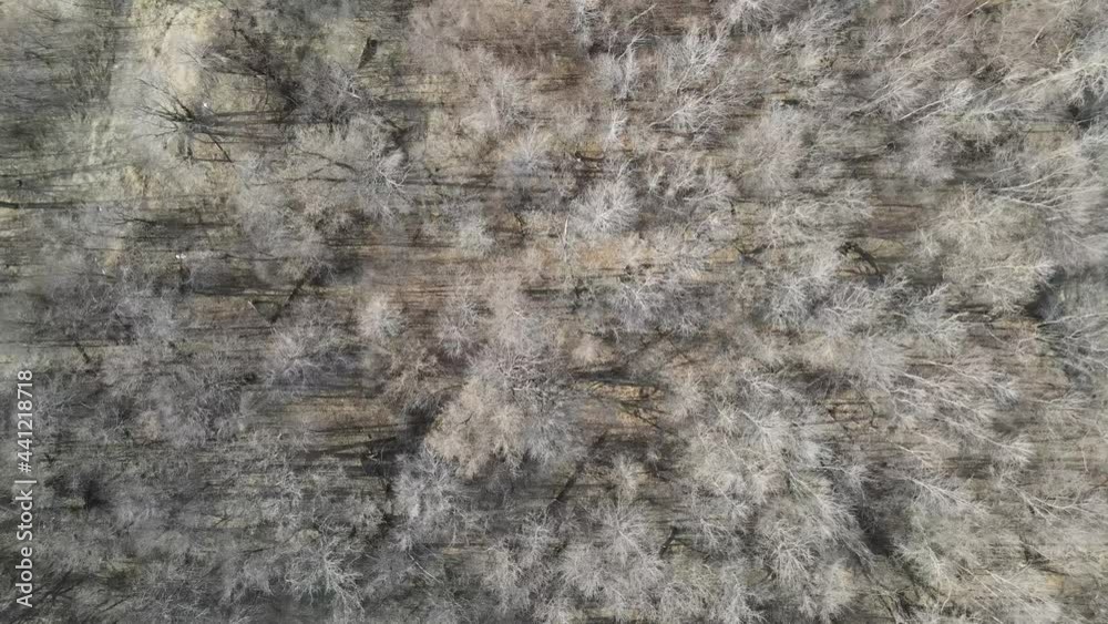 Aerial clip zooming in on trees with frost and no leaves from the winter, shadows can be seen below. Early spring in rural North Dakota, barren, interesting view. Aerial clip zooming in on trees with frost and no leaves from the winter, shadows can be seen below. Early spring in rural North Dakota, barren, interesting view.