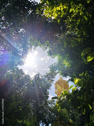 Buddha with nature