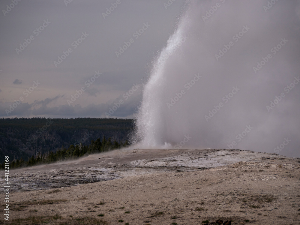 Old Faithful Geyser in Yellowstone Erupting