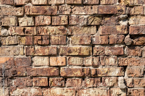 Old whitewashed brick wall.