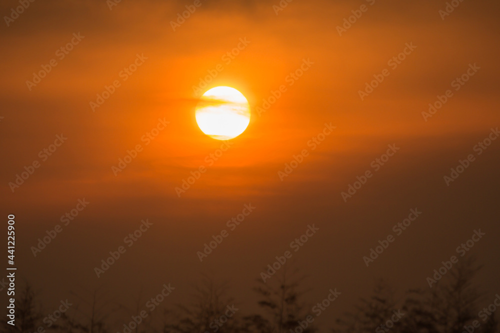 sunlight of sunrise in the morning, soft focus of nature background