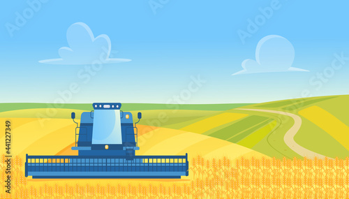 Farm harvester working, harvesting wheat from countryside yellow cereal farmland field vector illustration. Cartoon agricultural farmer combine machine cuts crop, agriculture technology background