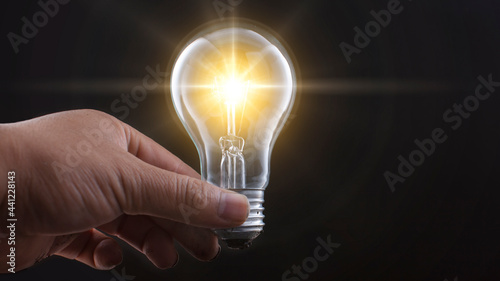 light bulb with plants and coins on black scene Ideas to save energy and save money and investment.