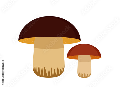 Illustration of two edible mushrooms with a white stem and a brown cap.