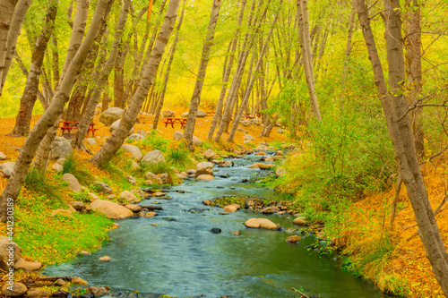 Fototapeta Naklejka Na Ścianę i Meble -  Santa Ana River rushes through the fall forest in the California mountains near Big Bear Lake.