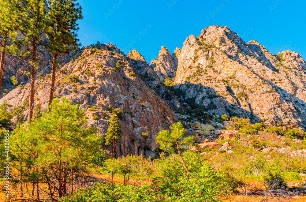 Jagged Mountains in King's Canyon National Park are surrounded by a pine forest.