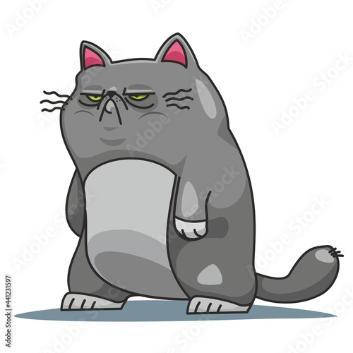 angry and gray gloomy cat looks seriously