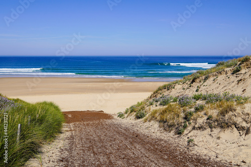 Sand path access to sea waves beach with fence at le Porge ocean atlantic near Lacanau coast in France